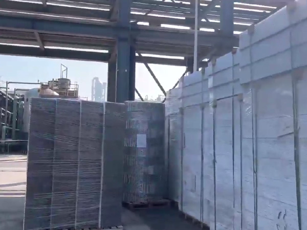 四川福華集團  二乙酯項目，塔內件，填料