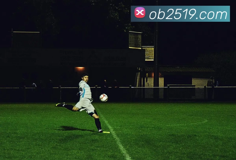 oubao欧宝平台生态图